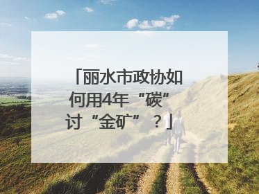 丽水市政协如何用4年“碳”讨“金矿”？